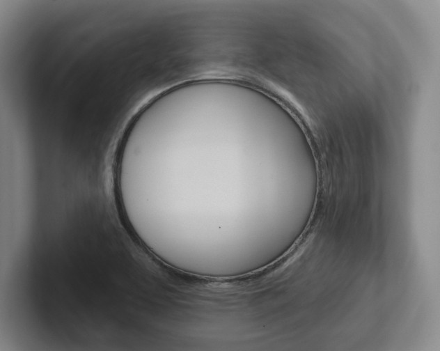 X0000102281463200807250931