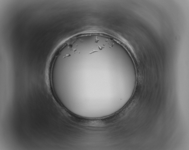 X0000102281464200807250931