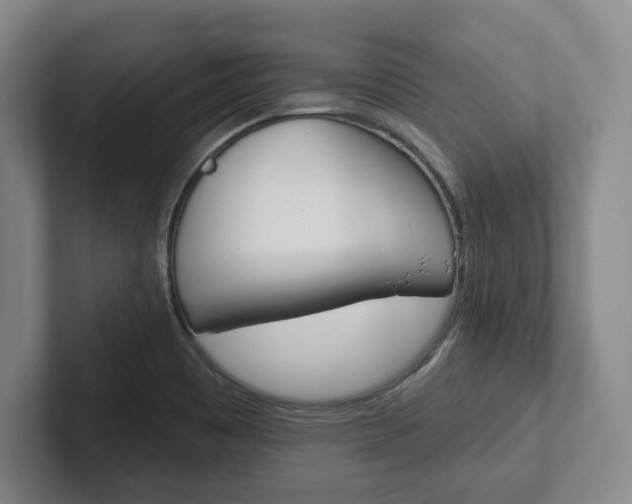 X0000102281465200807250931