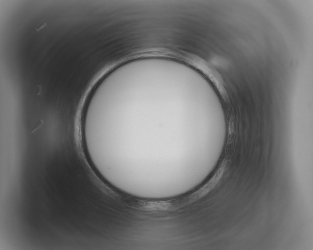 X0000102281466200807250931
