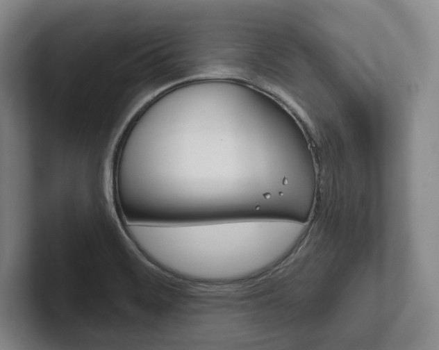 X0000102281468200807250931
