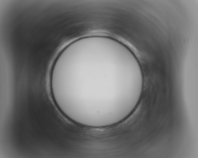 X0000102281470200807250931