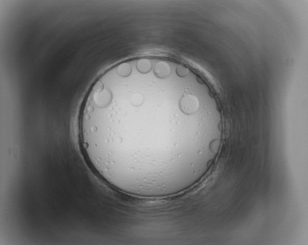 X0000102281471200807250931