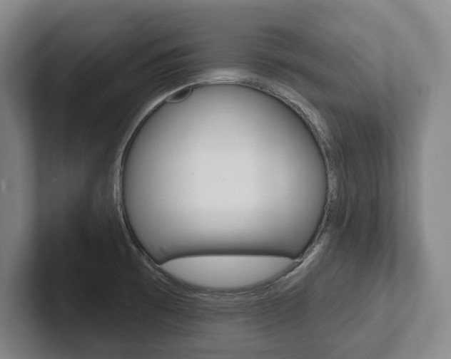 X0000102281473200807250931