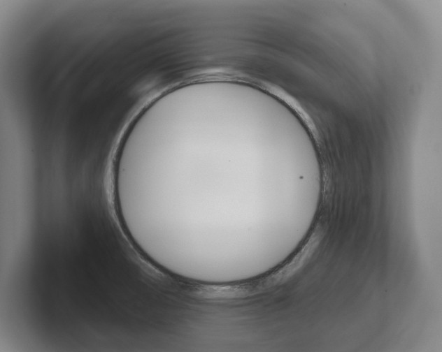 X0000102281474200807250931