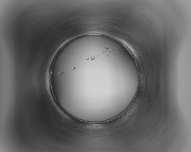 X0000102281476200807250931