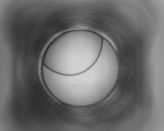X0000102281477200807250931