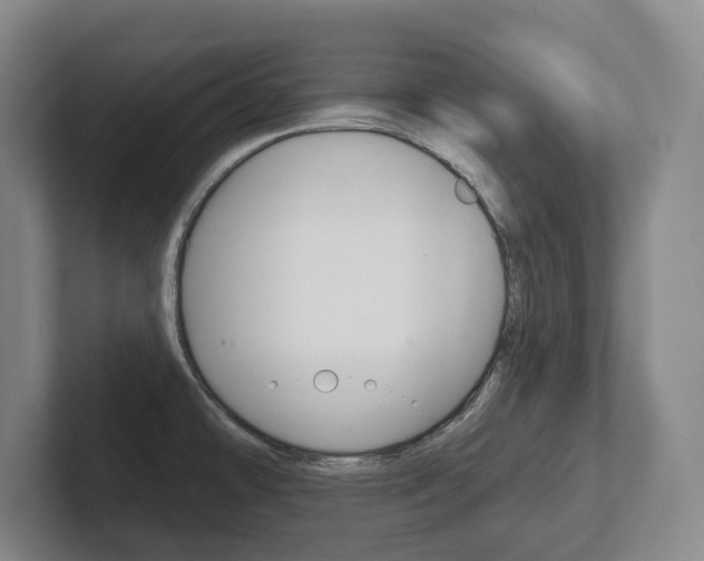 X0000102281478200807250931