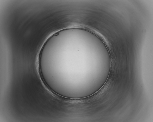 X0000102281479200807250931