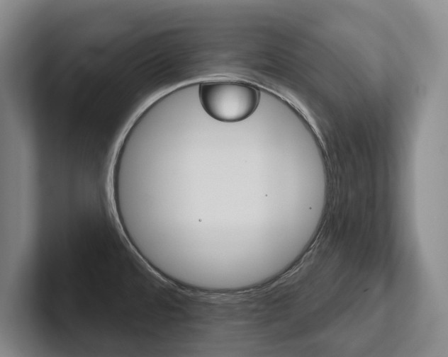 X0000102281480200807250931