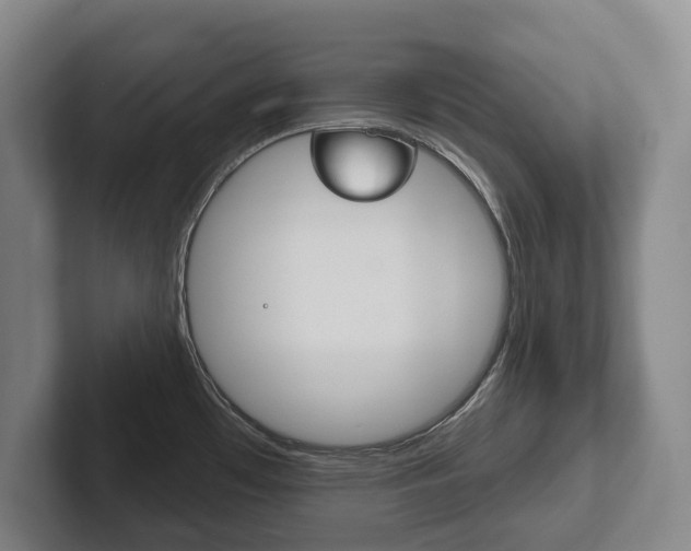X0000102281481200807250931