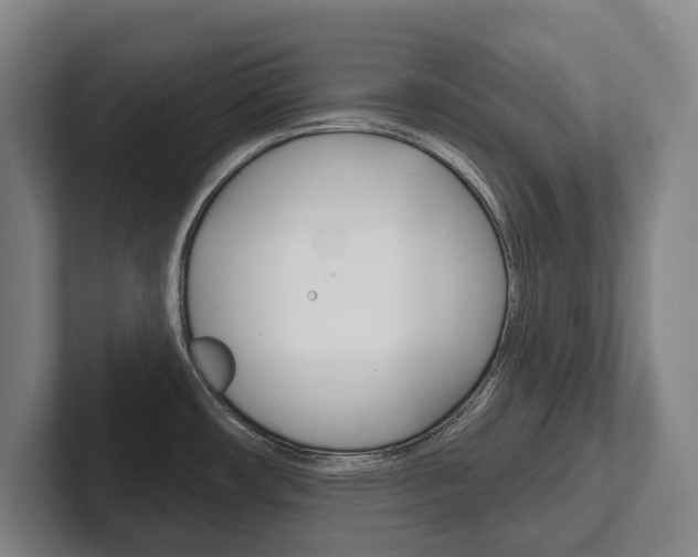 X0000102281482200807250931