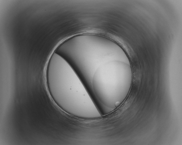 X0000102281483200807250931