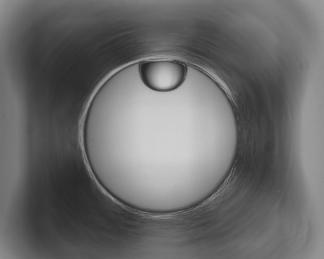 X0000102281484200807250931