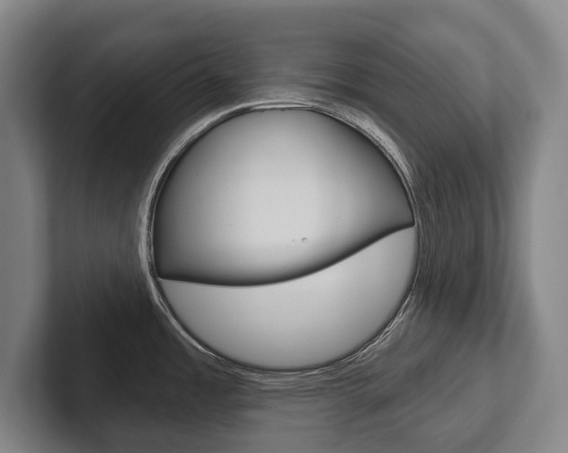 X0000102281485200807250931