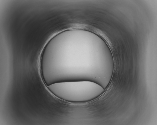 X0000102281487200807250931
