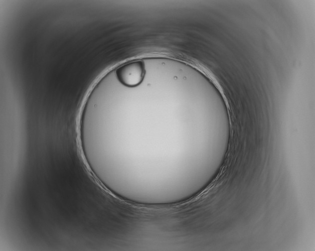 X0000102281488200807250931
