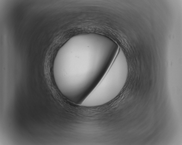 X0000102281489200807250930