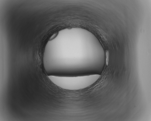 X0000102281491200807250930