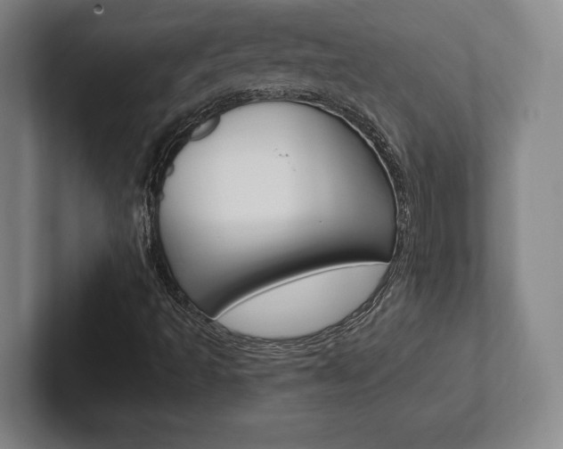 X0000102281493200807250930