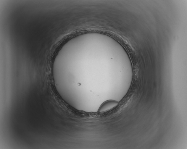 X0000102281494200807250930