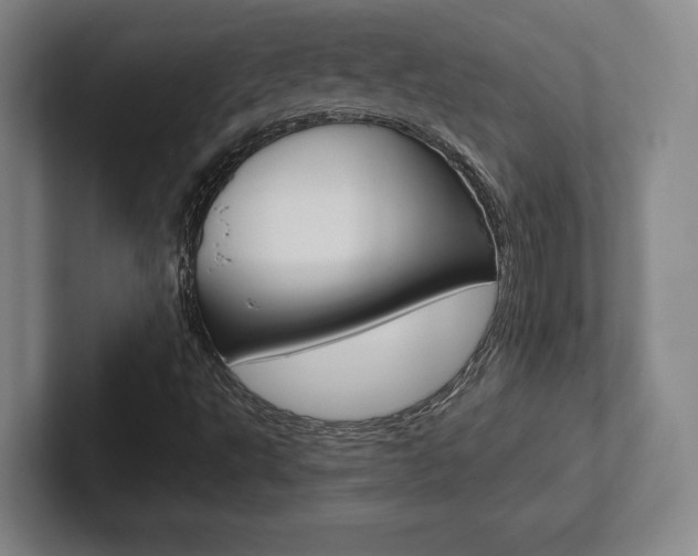 X0000102281495200807250930