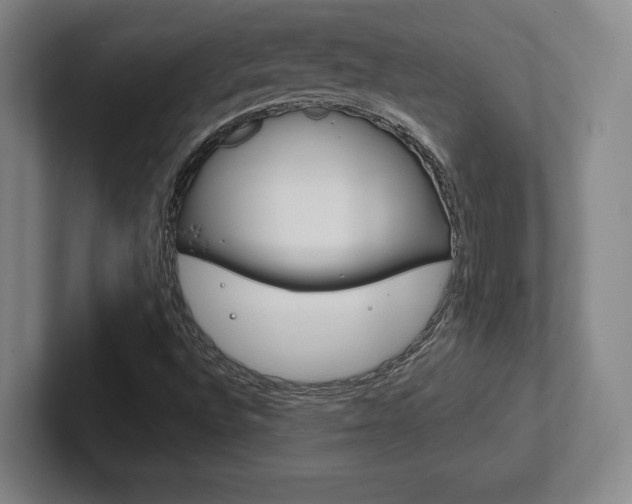 X0000102281496200807250930