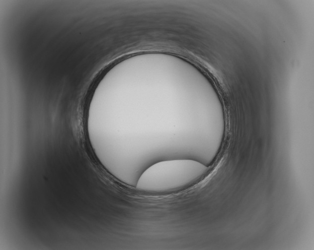 X0000102281498200807250930