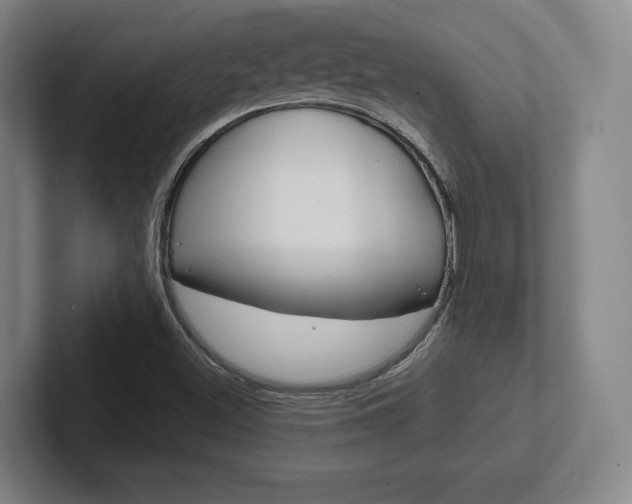 X0000102281500200807250930