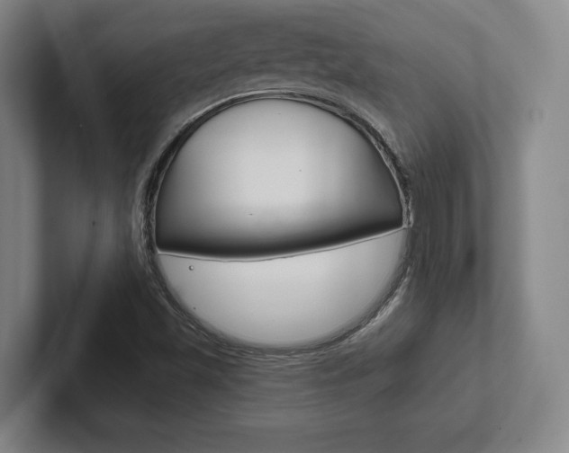 X0000102281501200807250930