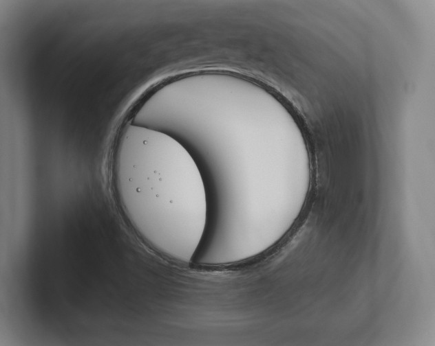X0000102281502200807250930