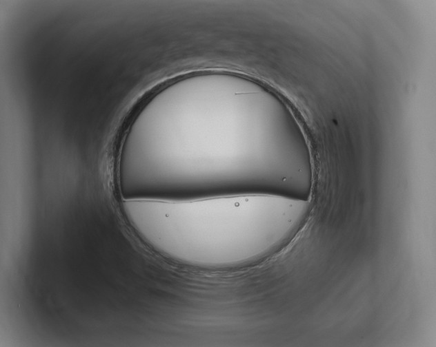 X0000102281503200807250930