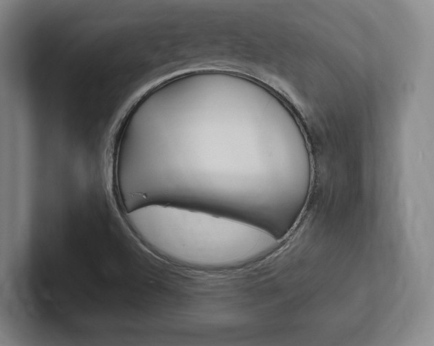 X0000102281504200807250931