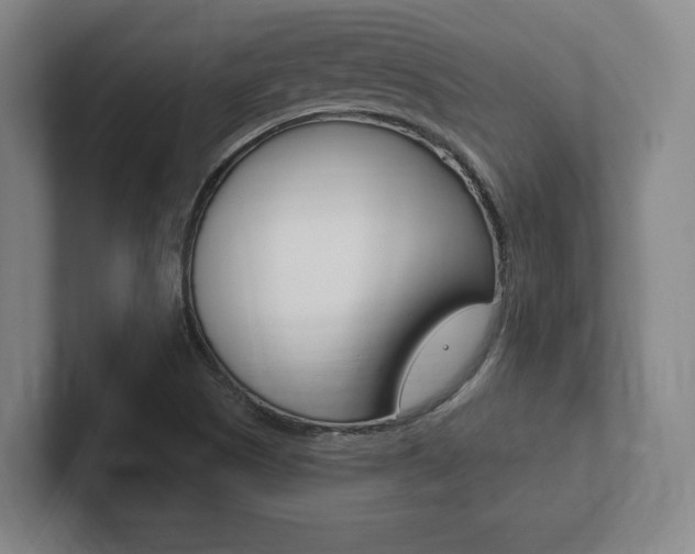 X0000102281505200807250931