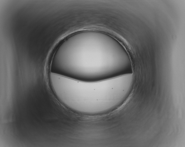 X0000102281506200807250931
