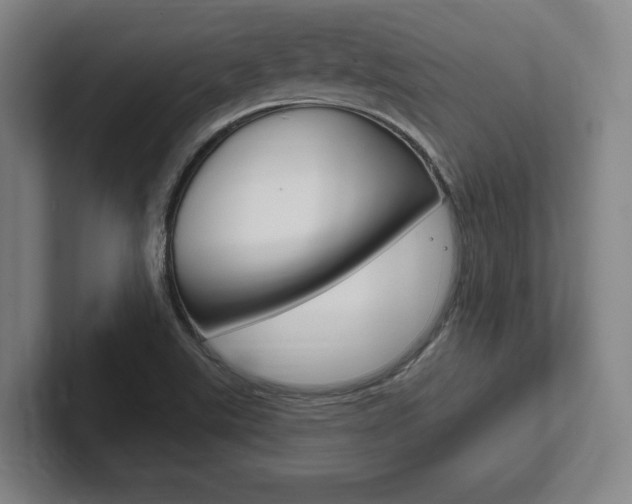 X0000102281507200807250931