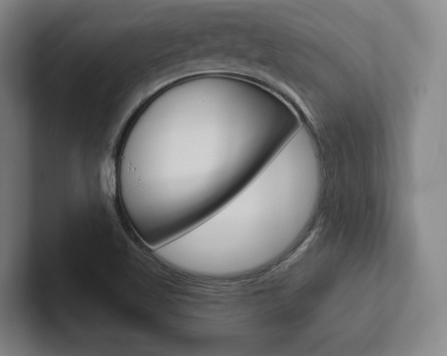X0000102281509200807250931