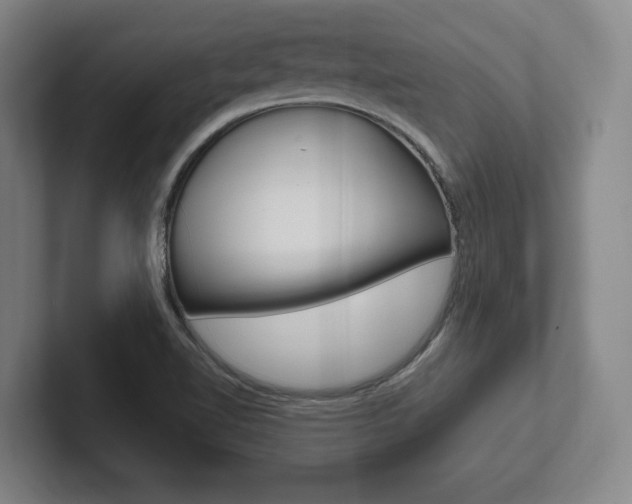 X0000102281510200807250931