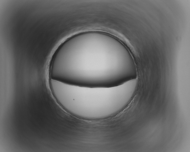 X0000102281512200807250931