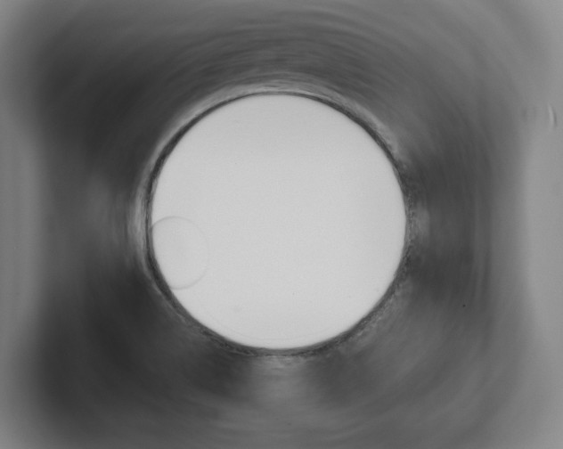 X0000102281514200807250931