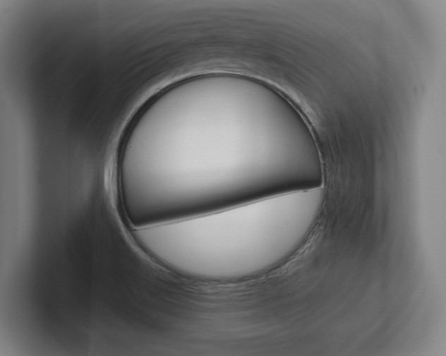 X0000102281515200807250931