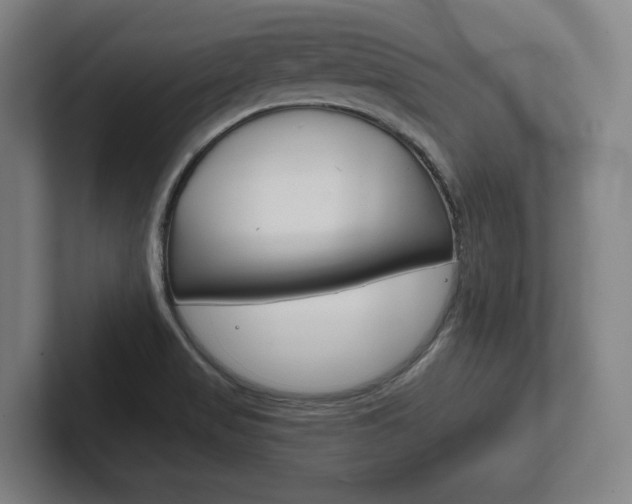 X0000102281517200807250931