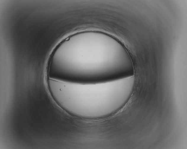 X0000102281518200807250931