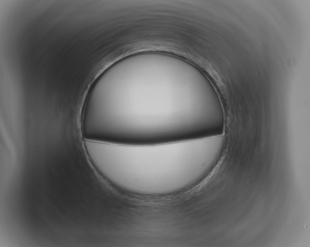 X0000102281521200807250931
