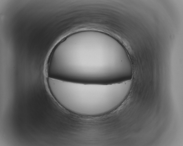 X0000102281522200807250931