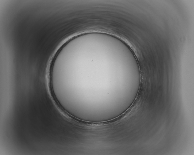 X0000102281523200807250931