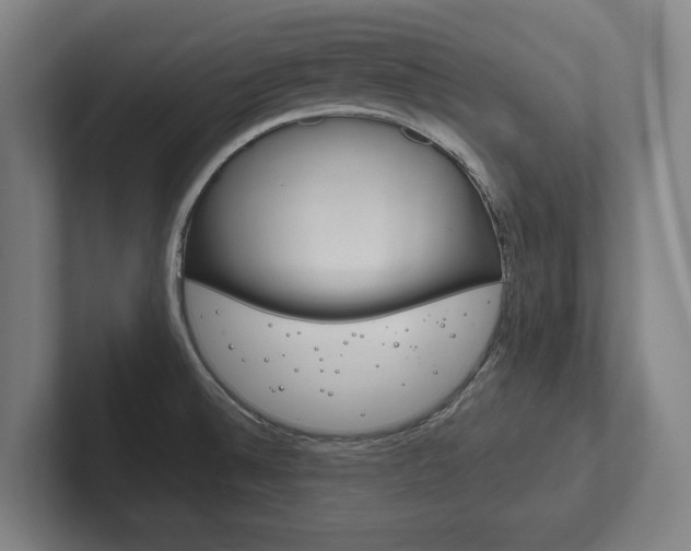 X0000102281524200807250931