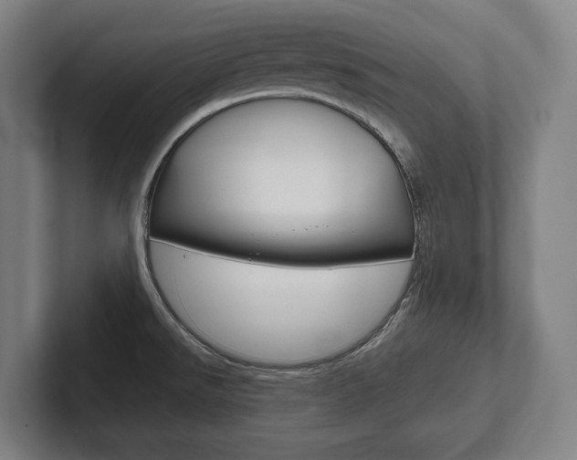 X0000102281526200807250931
