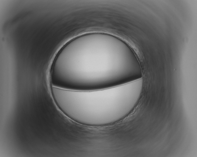 X0000102281527200807250931