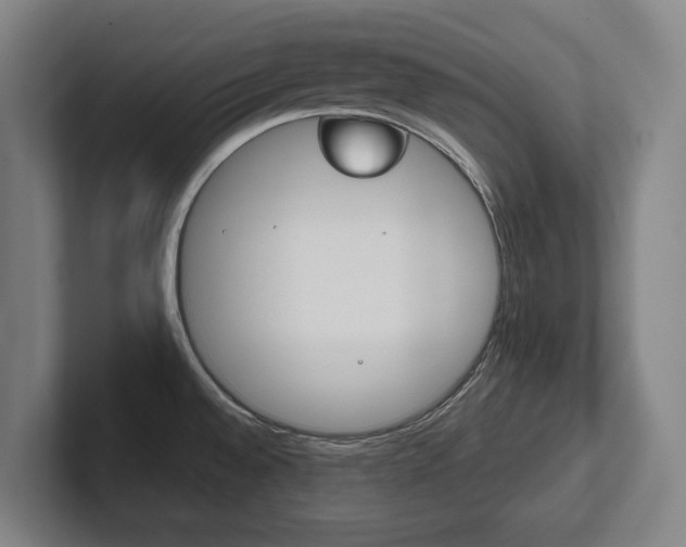 X0000102281528200807250931